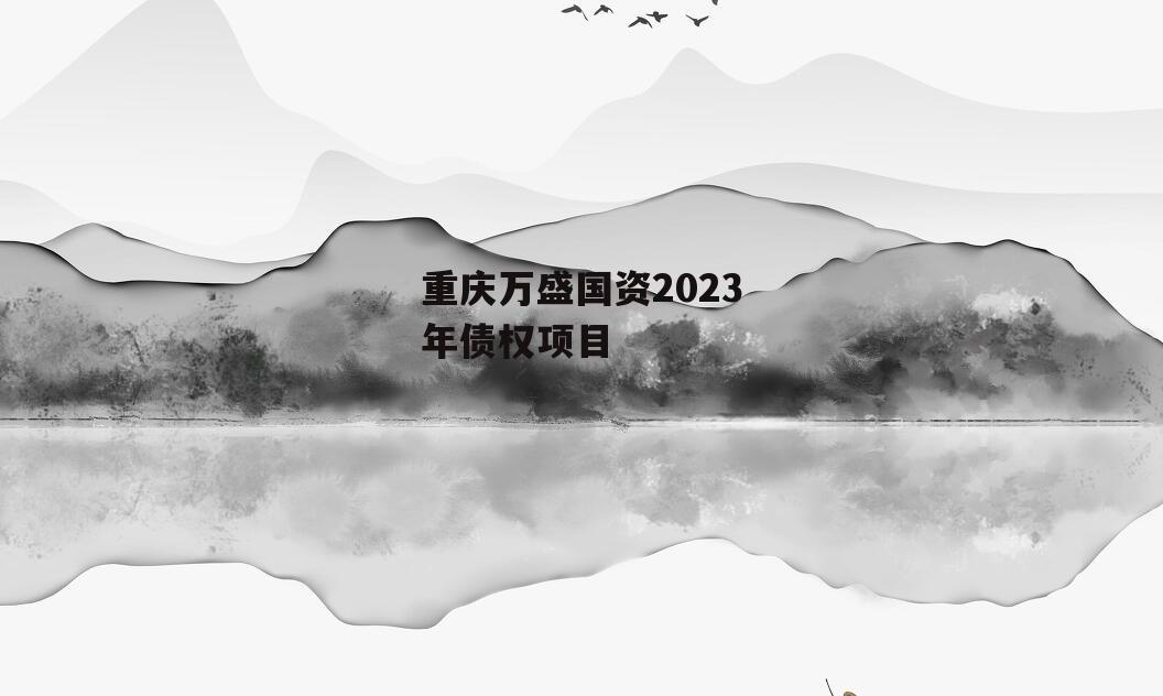 重庆万盛国资2023年债权项目