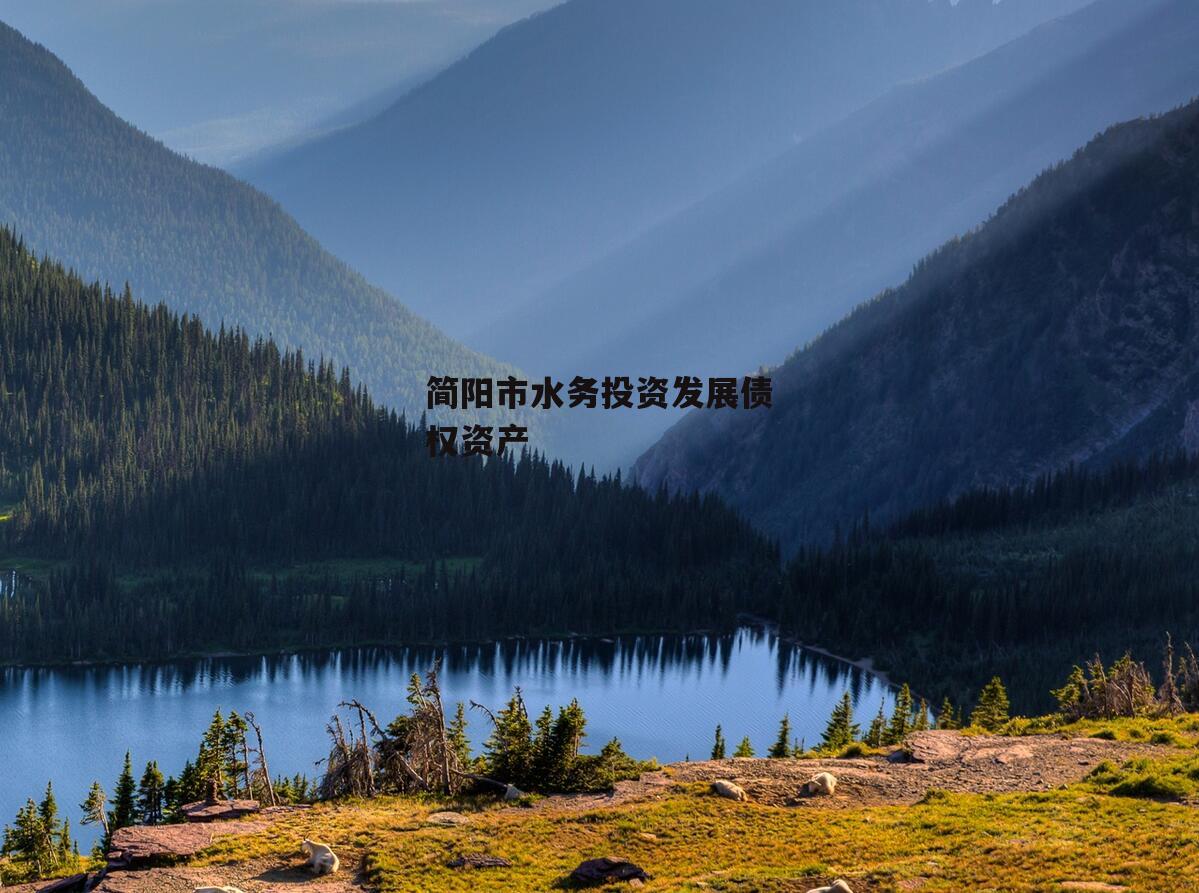 简阳市水务投资发展债权资产