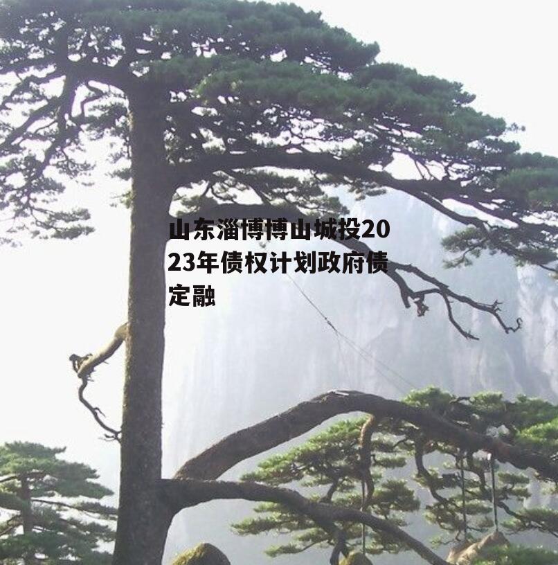 山东淄博博山城投2023年债权计划政府债定融