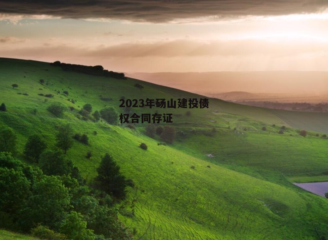 2023年砀山建投债权合同存证