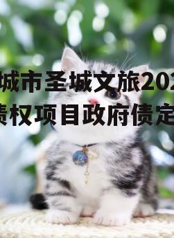 邹城市圣城文旅2023债权项目政府债定融