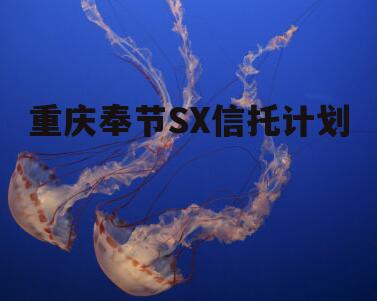 重庆奉节SX信托计划