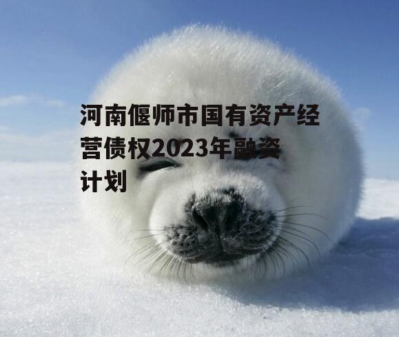 河南偃师市国有资产经营债权2023年融资计划