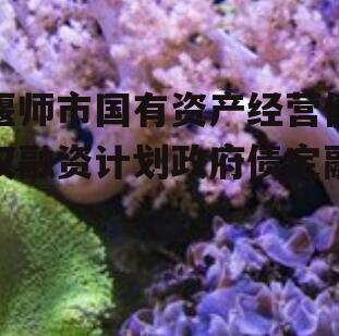 偃师市国有资产经营债权融资计划政府债定融