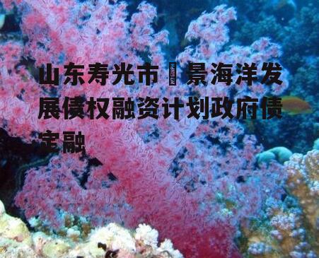 山东寿光市昇景海洋发展债权融资计划政府债定融