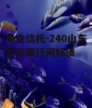 央企信托-240山东寿光银行间标债