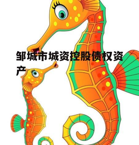 邹城市城资控股债权资产