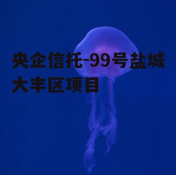 央企信托-99号盐城大丰区项目