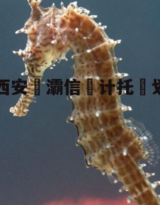 西安浐灞信‮计托‬划