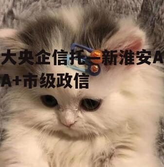 大央企信托—新淮安AA+市级政信