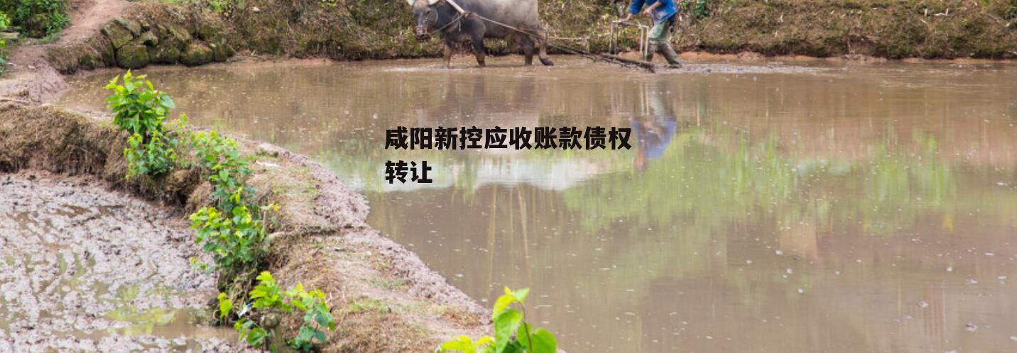 咸阳新控应收账款债权转让