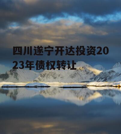 四川遂宁开达投资2023年债权转让
