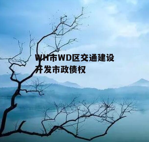 WH市WD区交通建设开发市政债权