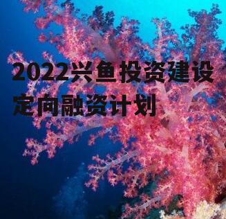 2022兴鱼投资建设定向融资计划