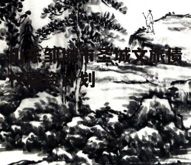 山东邹城市圣城文旅债权融资计划