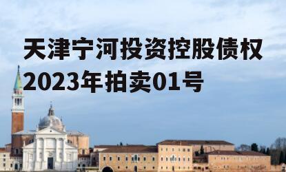 天津宁河投资控股债权2023年拍卖01号
