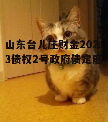 山东台儿庄财金2023债权2号政府债定融