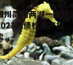 四川简阳两湖一山投资2023年债权资产拍卖