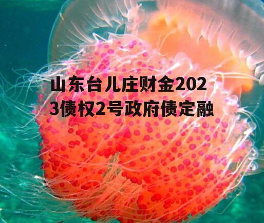 山东台儿庄财金2023债权2号政府债定融