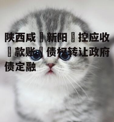 陕西咸‮新阳‬控应收‮款账‬债权转让政府债定融