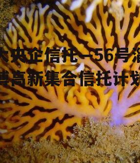 大央企信托—56号淄博高新集合信托计划