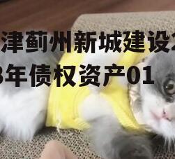 天津蓟州新城建设2023年债权资产01