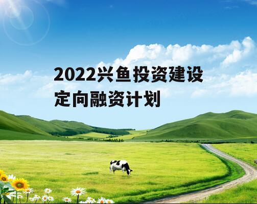 2022兴鱼投资建设定向融资计划