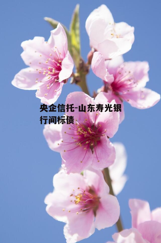央企信托-山东寿光银行间标债