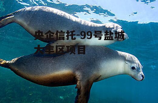 央企信托-99号盐城大丰区项目
