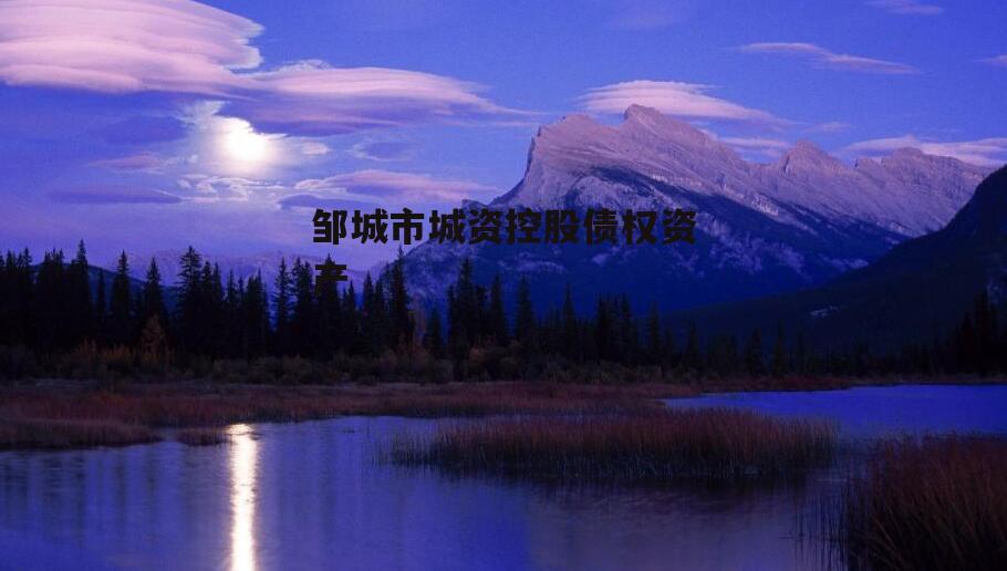 邹城市城资控股债权资产