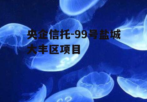 央企信托-99号盐城大丰区项目