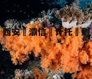西安浐灞信‮计托‬划
