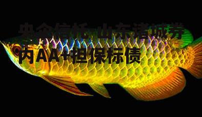 央企信托-山东诸城券内AA+担保标债