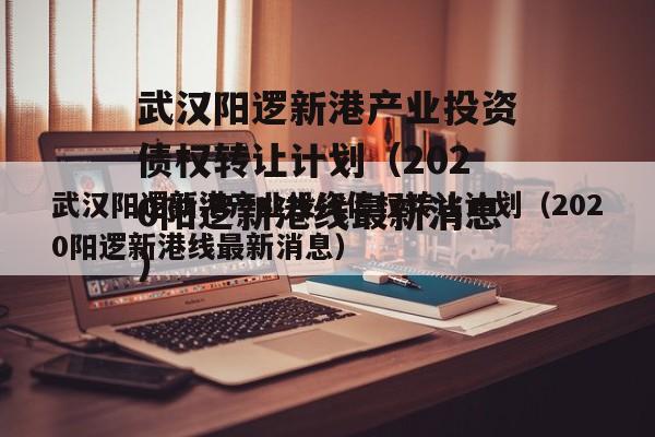 武汉阳逻新港产业投资债权转让计划（2020阳逻新港线最新消息）