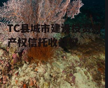 TC县城市建设投资财产权信托收益权
