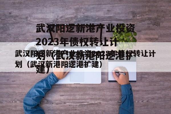 武汉阳逻新港产业投资2023年债权转让计划（武汉新港阳逻港扩建）