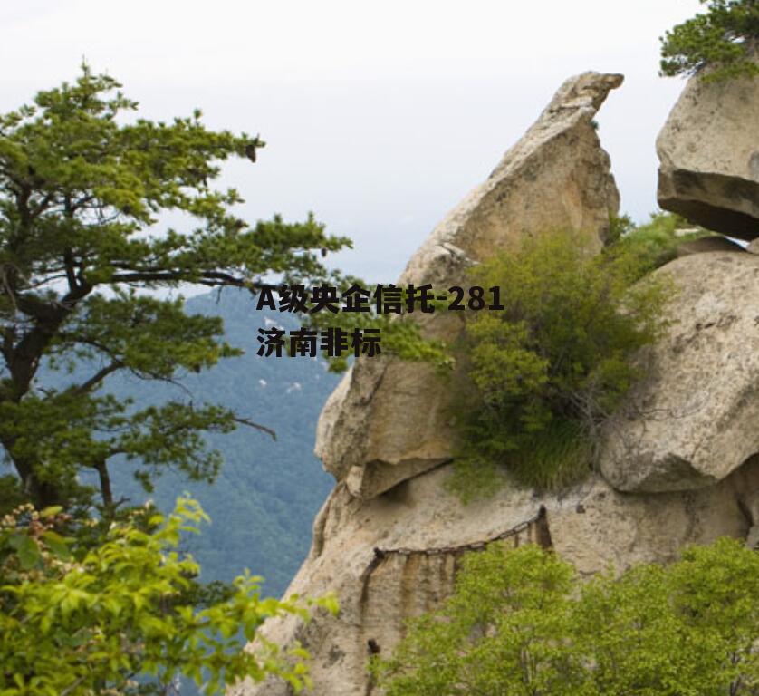 A级央企信托-281济南非标