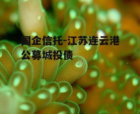国企信托-江苏连云港公募城投债