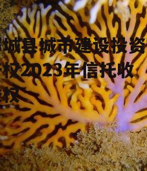 郯城县城市建设投资财产权2023年信托收益权