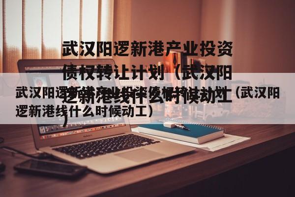 武汉阳逻新港产业投资债权转让计划（武汉阳逻新港线什么时候动工）