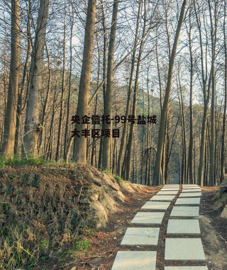 央企信托-99号盐城大丰区项目