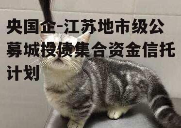 央国企-江苏地市级公募城投债集合资金信托计划