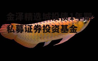 金泽精选城投债1年期私募证券投资基金