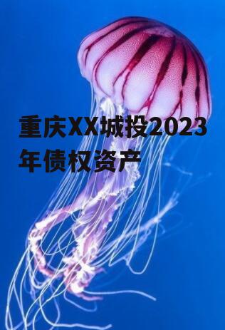 重庆XX城投2023年债权资产