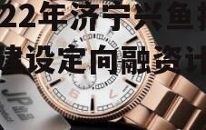 2022年济宁兴鱼投资建设定向融资计划