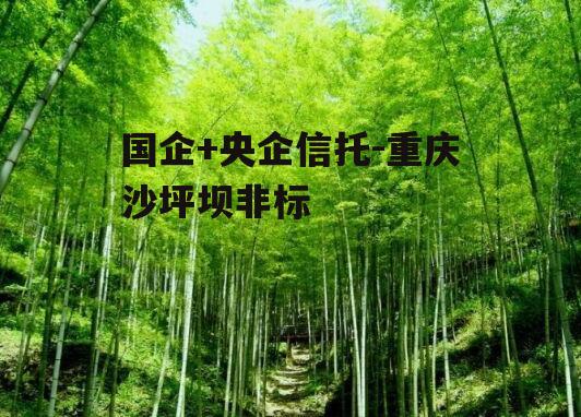 国企+央企信托-重庆沙坪坝非标