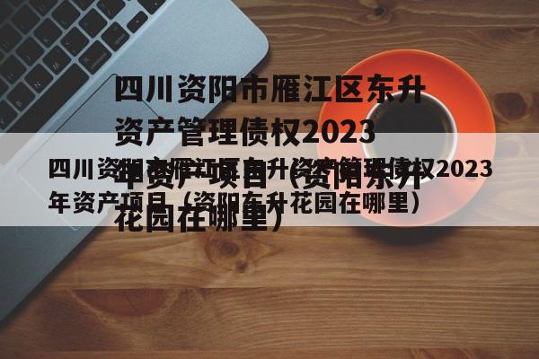 四川资阳市雁江区东升资产管理债权2023年资产项目（资阳东升花园在哪里）