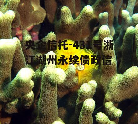 央企信托-431号浙江湖州永续债政信