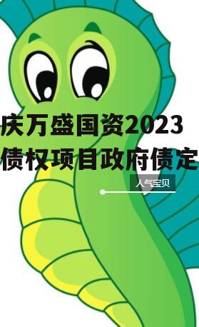 重庆万盛国资2023年债权项目政府债定融