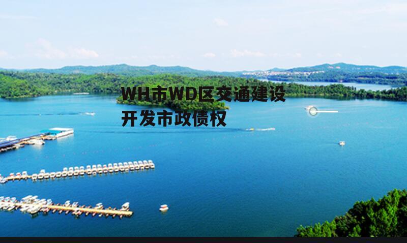 WH市WD区交通建设开发市政债权